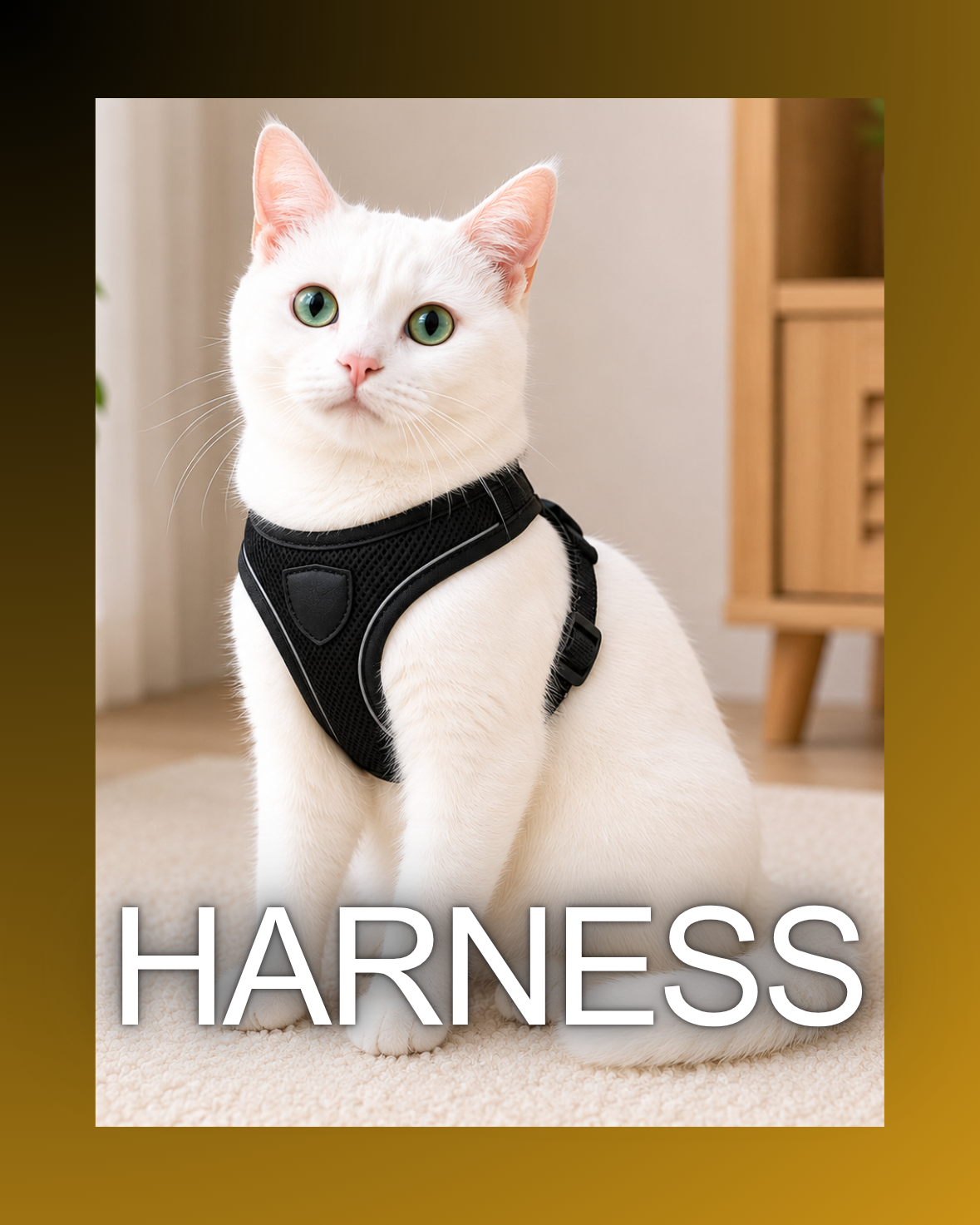Harness