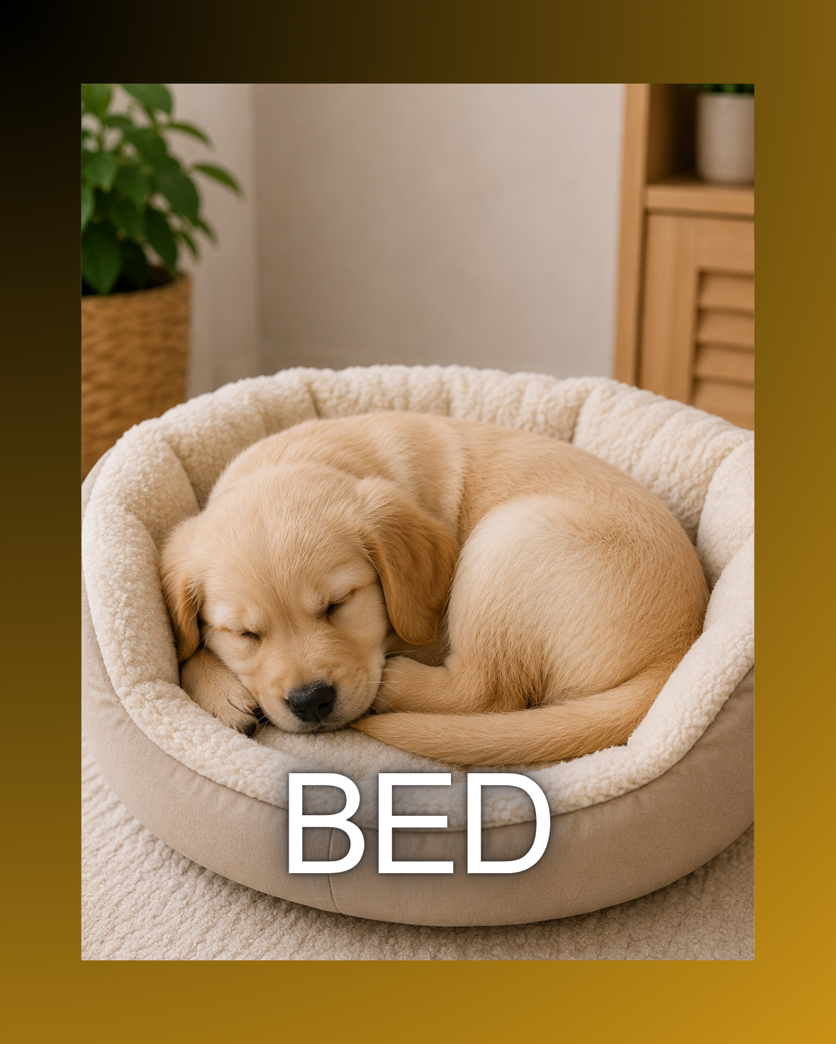 Bed