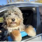 Dog Car Window Chin Rest – Comfortable Travel Head Support for Car Rides