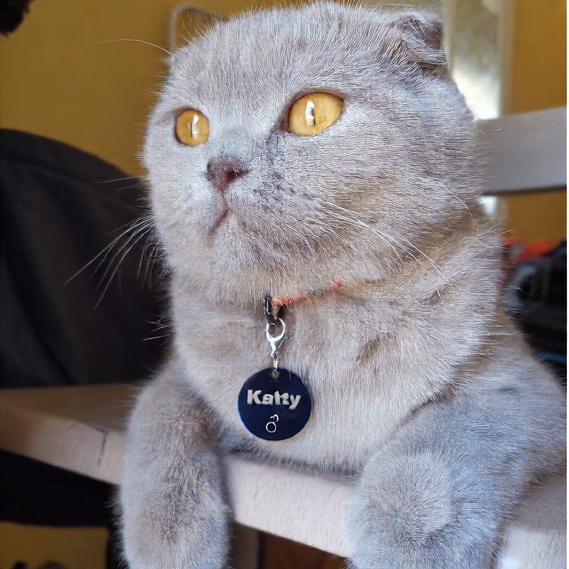 Furthers™ Personalized Pet ID Tag – Custom Engraved Dog & Cat Collar Name Tag