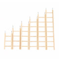 Wooden Bird Cage Climbing Ladder