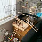 Natural Wooden Bird Climbing Ladder – Cage Exercise Toy for Parrots, Budgies, Cockatiels & Small Pets